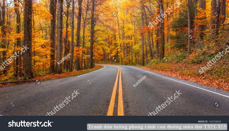 Tranh dán tường phong cảnh con đường mùa thu T321-325